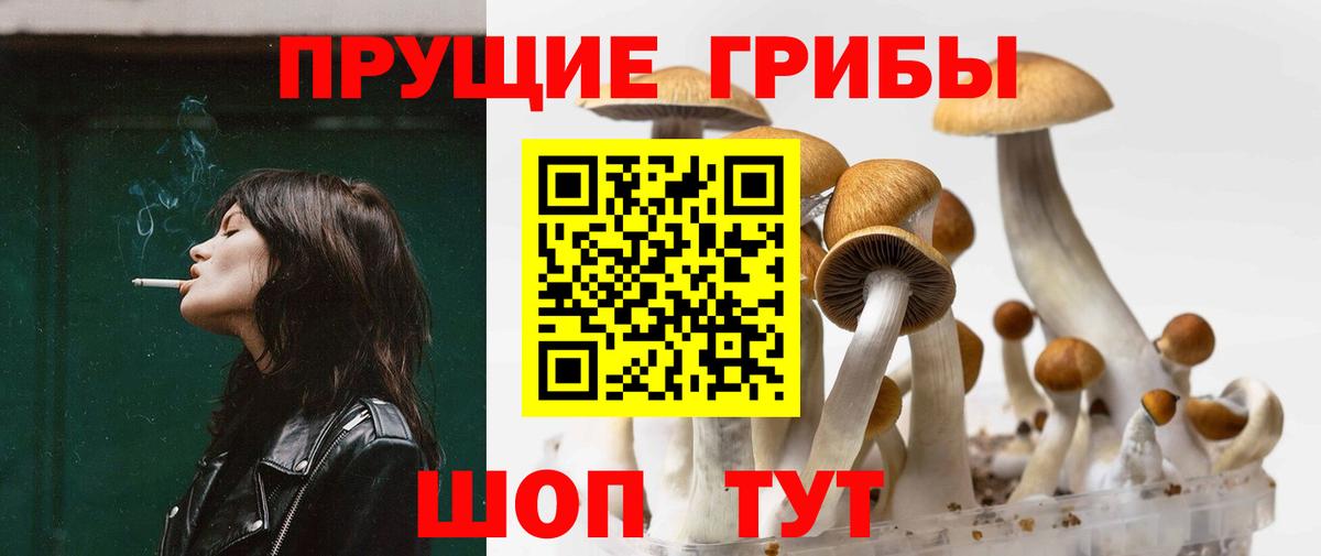 Лесосибирск  Псилоцибиновые грибы Psilocybe  цена наркотик  Вход с VPN 