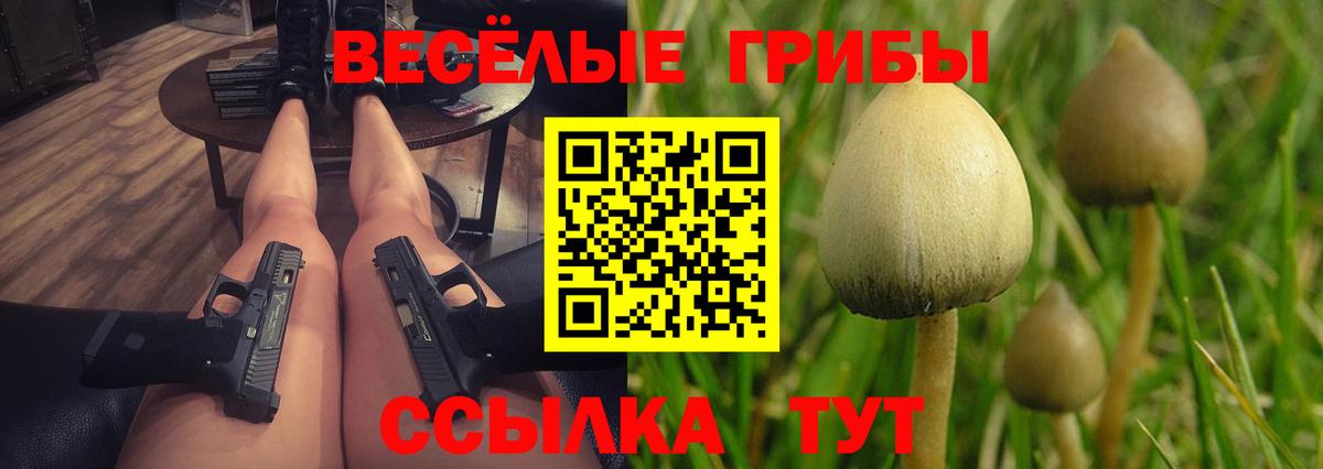 Псилоцибиновые грибы GOLDEN TEACHER Лесосибирск
